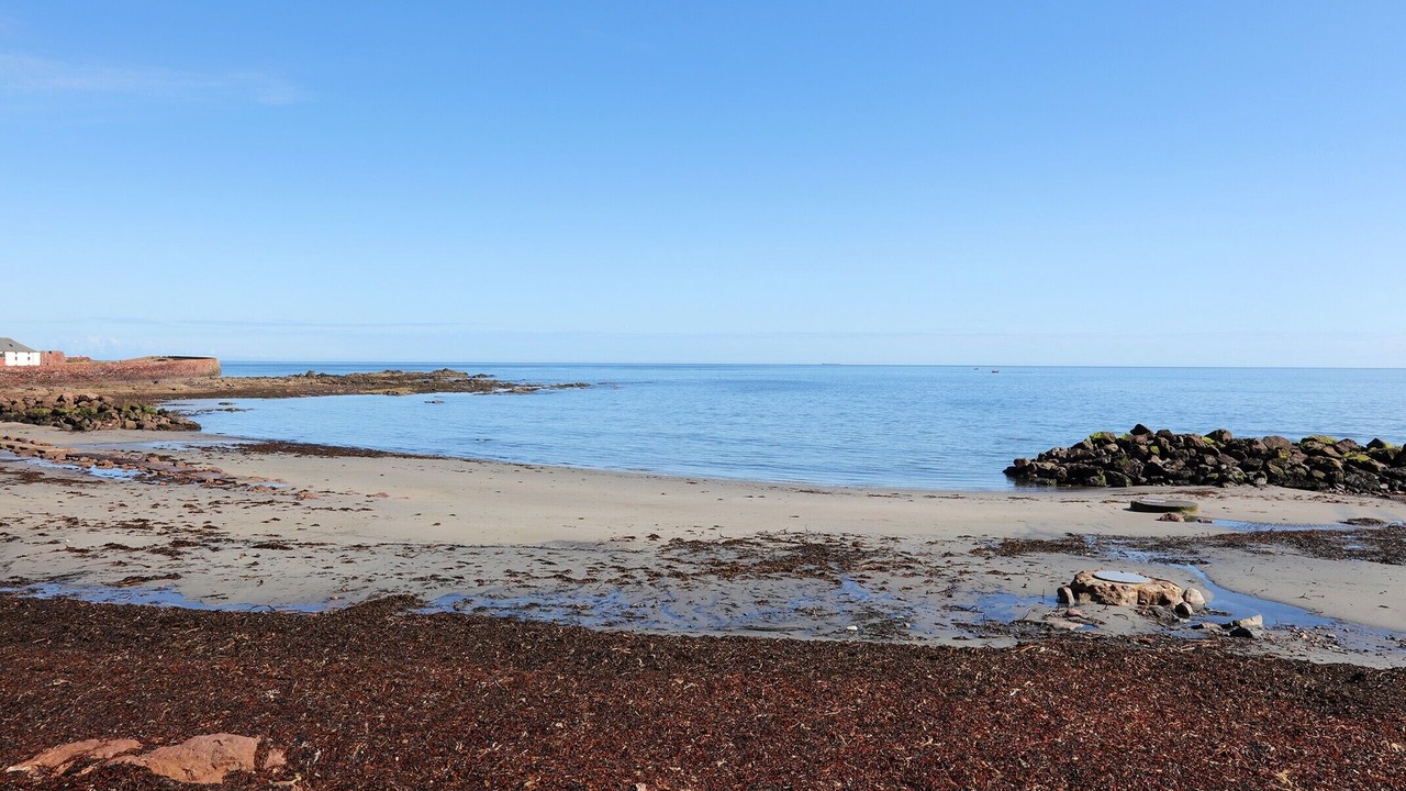 Photo of Others in Dunbar