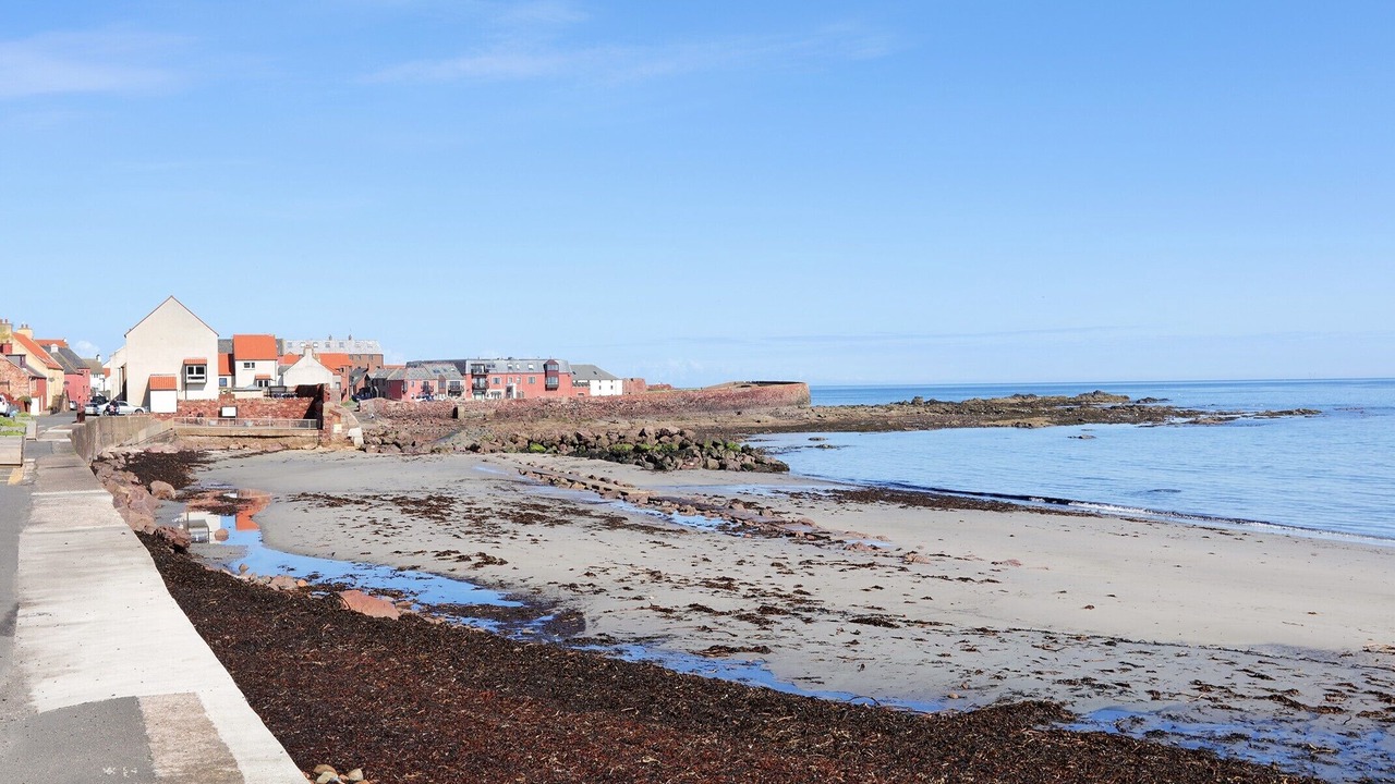 Photo of Others in Dunbar