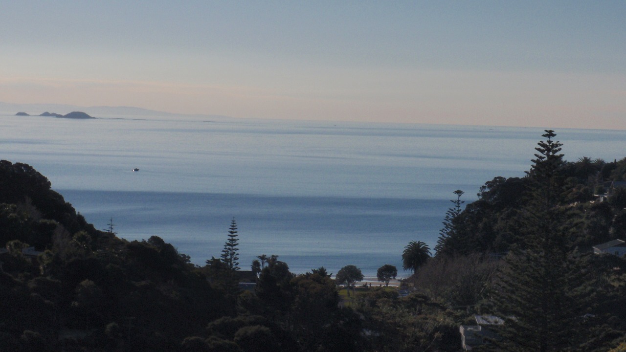 Photo of Others in Waiheke Island
