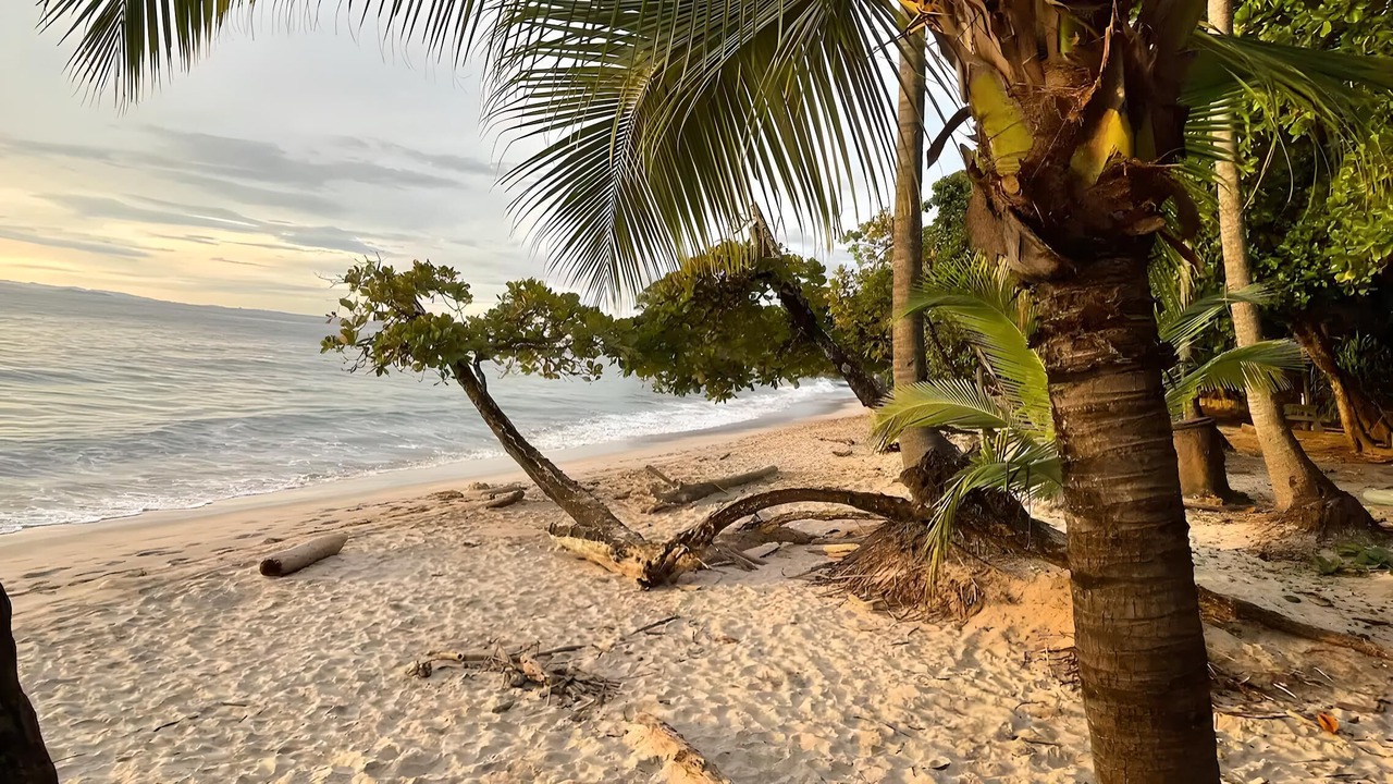 Photo of Others in Punta Leona