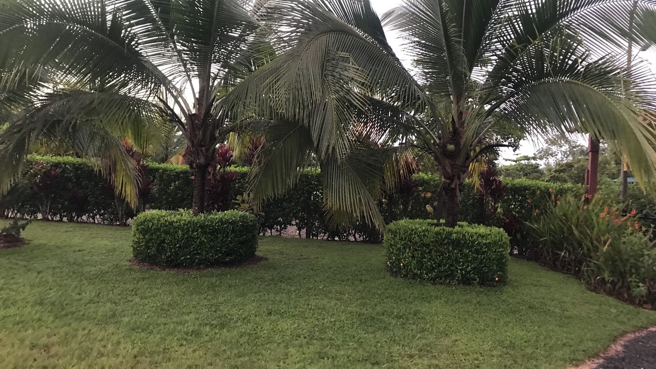 Photo of Outdoor in San Mateo