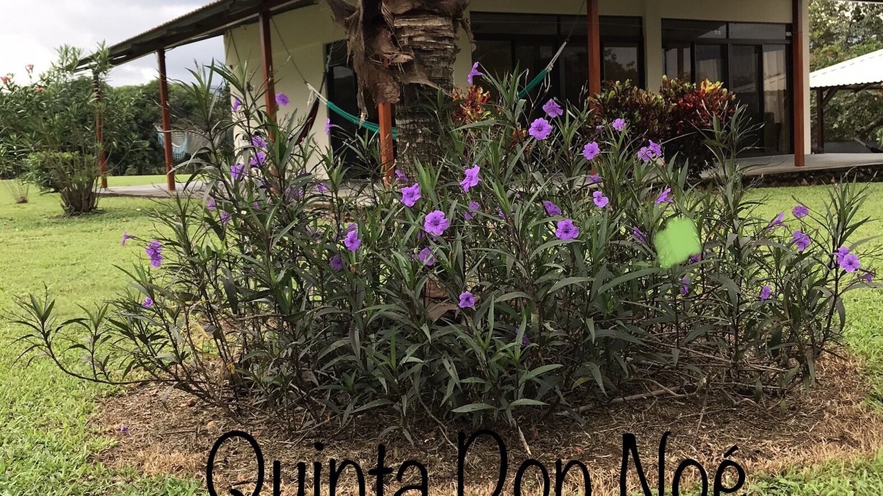 Photo of Outdoor in San Mateo