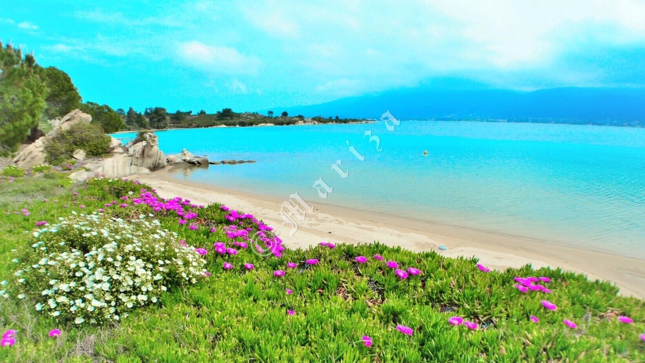 Photo of Others in Sithonia