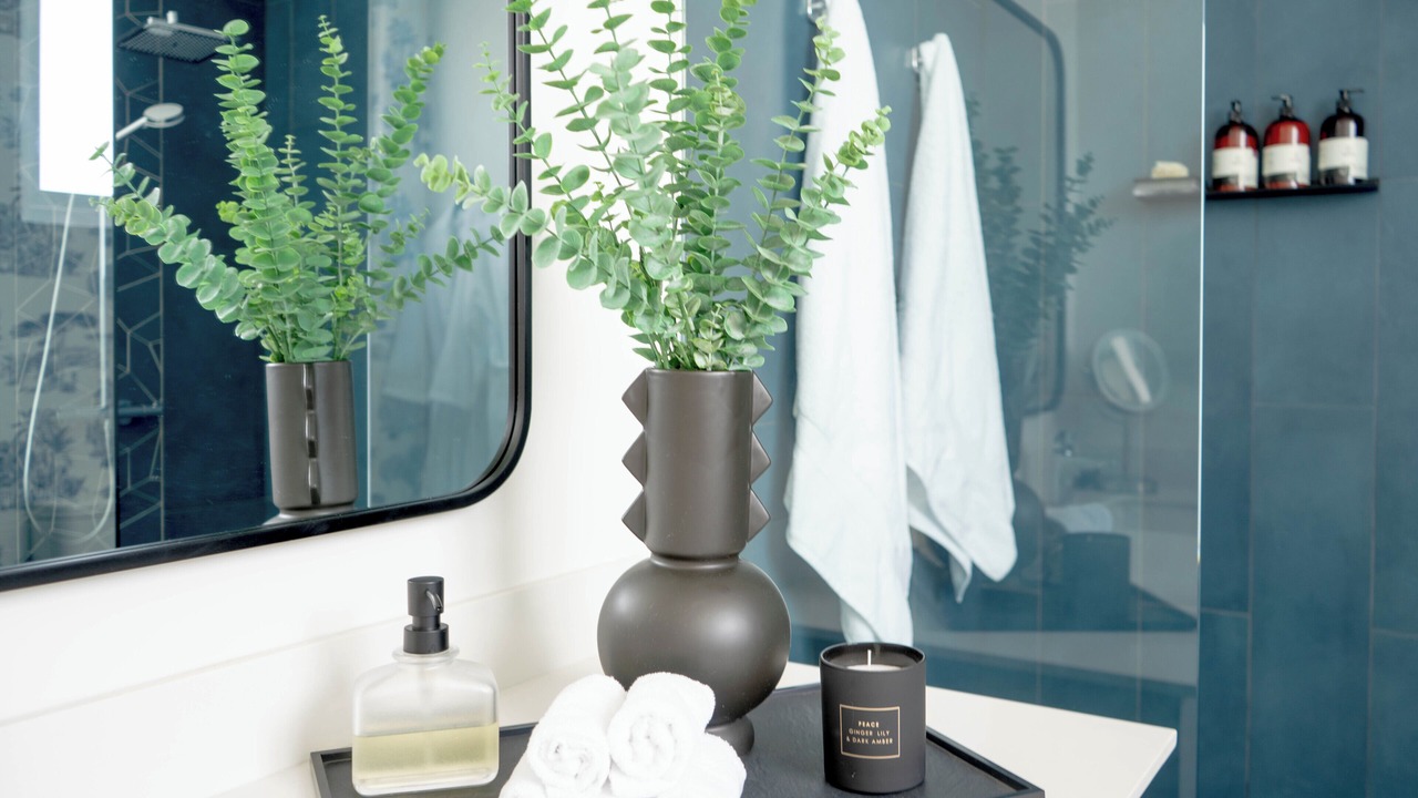 Photo of Bathroom in Escazu