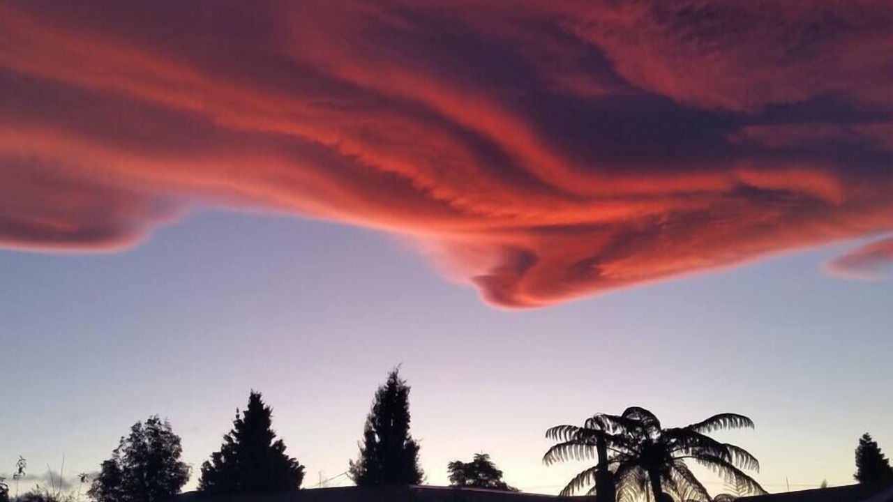 Photo of Others in Motueka