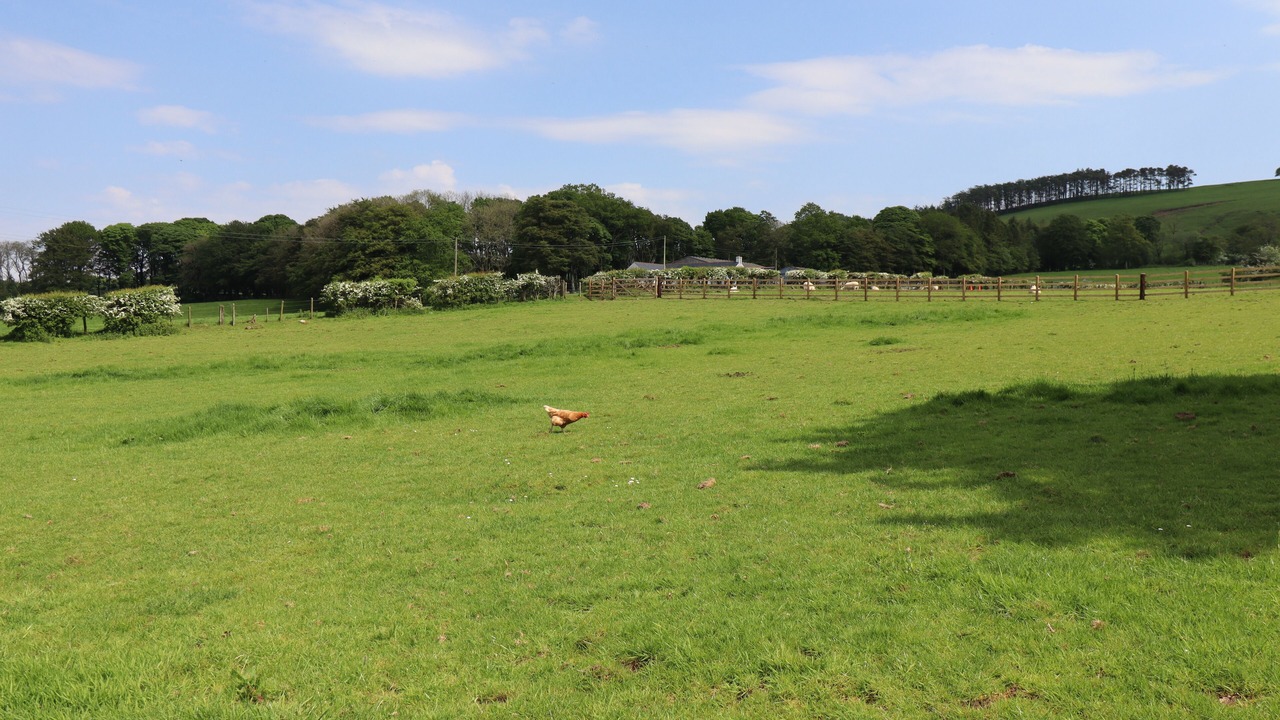 Photo of Others in Lockerbie