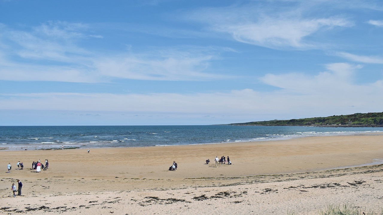 Photo of Others in Kirkcaldy