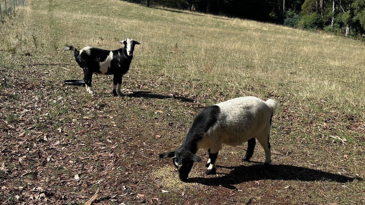 Photo of Others in Don