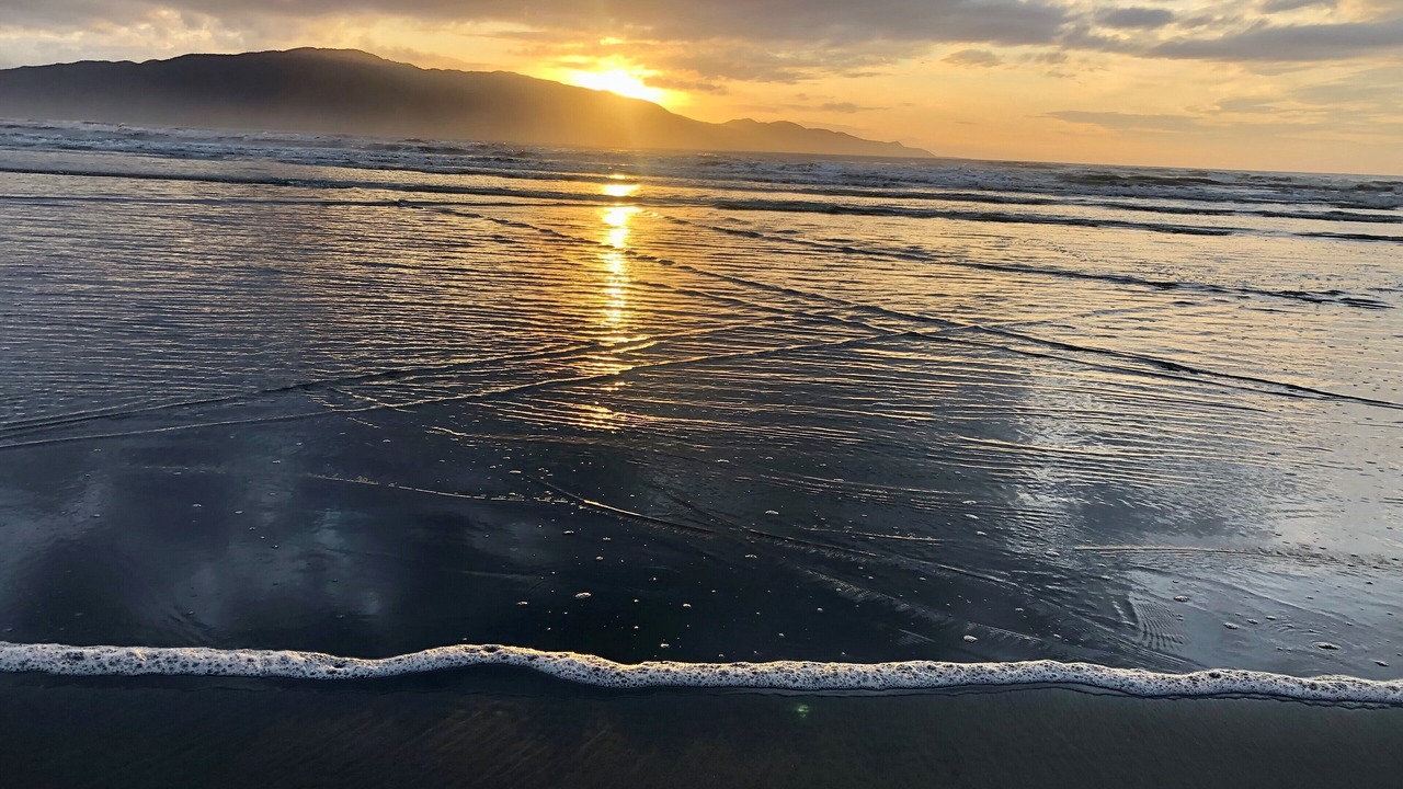 Photo of Others in Raumati Beach