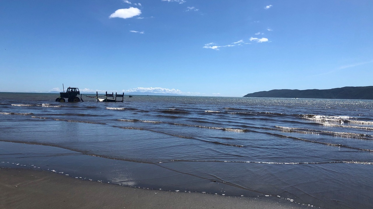 Photo of Others in Raumati Beach