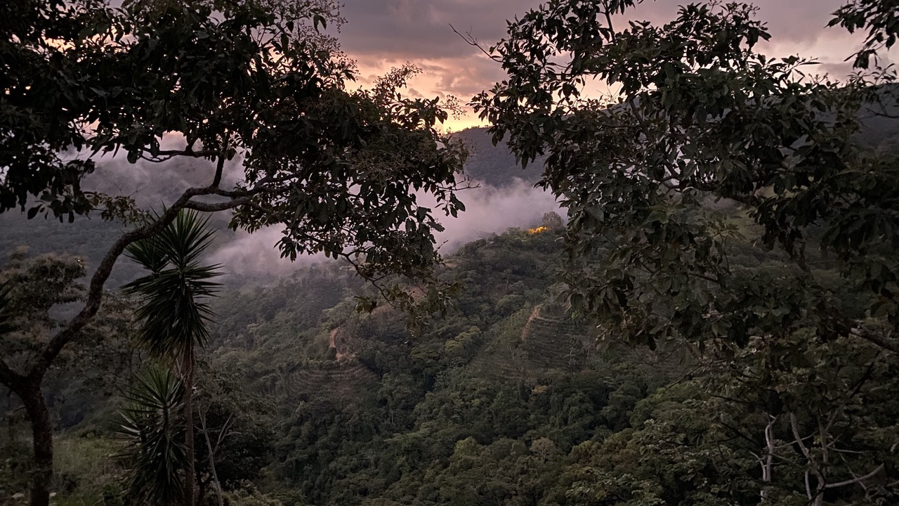 Photo of Outdoor in San Isidro