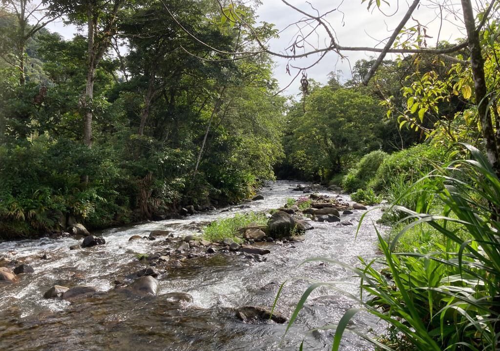 Photo of Outdoor in Bajos del Toro