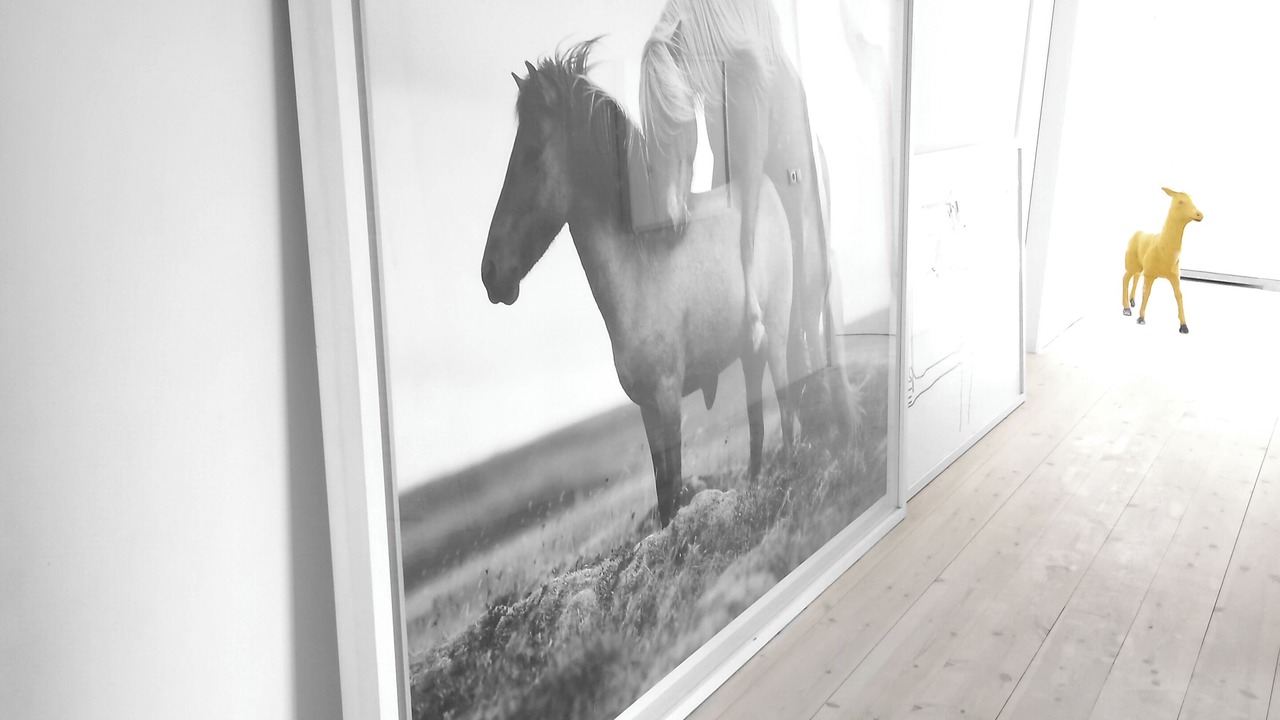 Photo of Others in Hveragerdi