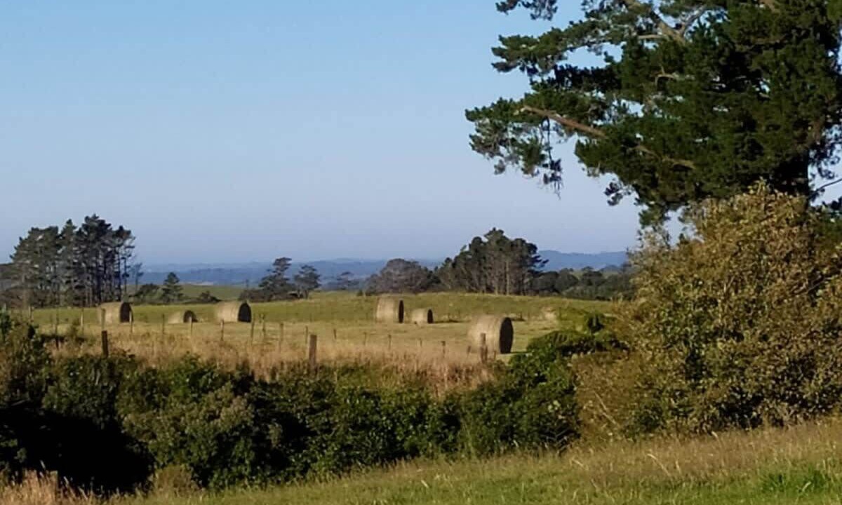 Photo of Outdoor in Midhirst