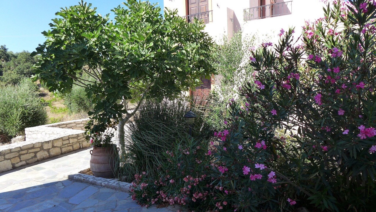 Photo of Outdoor in Axos