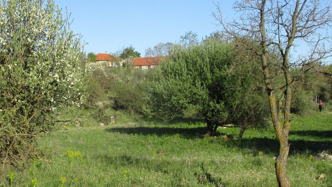 Photo of Outdoor in Fokiano