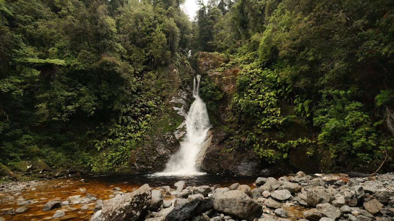 Photo of Others in Hokitika