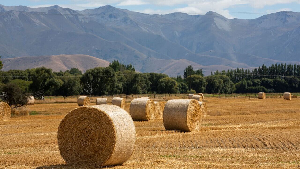 Photo of Outdoor in Twizel
