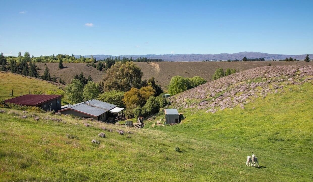 Photo of Outdoor in Clyde