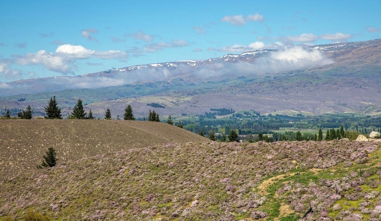 Photo of Outdoor in Clyde