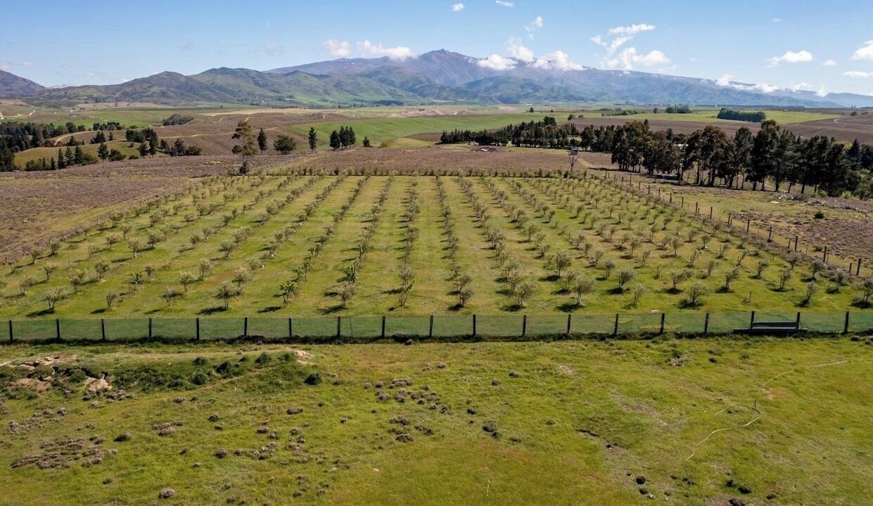 Photo of Outdoor in Clyde