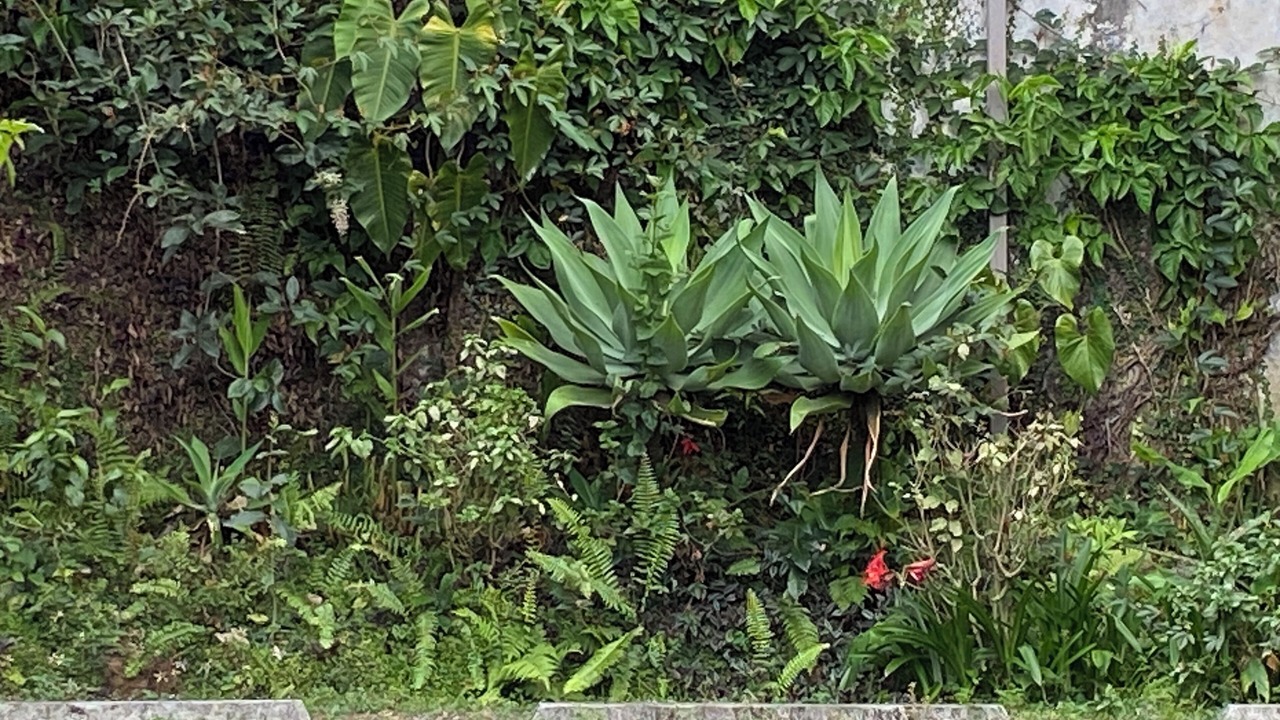 Photo of Outdoor in El Cipres