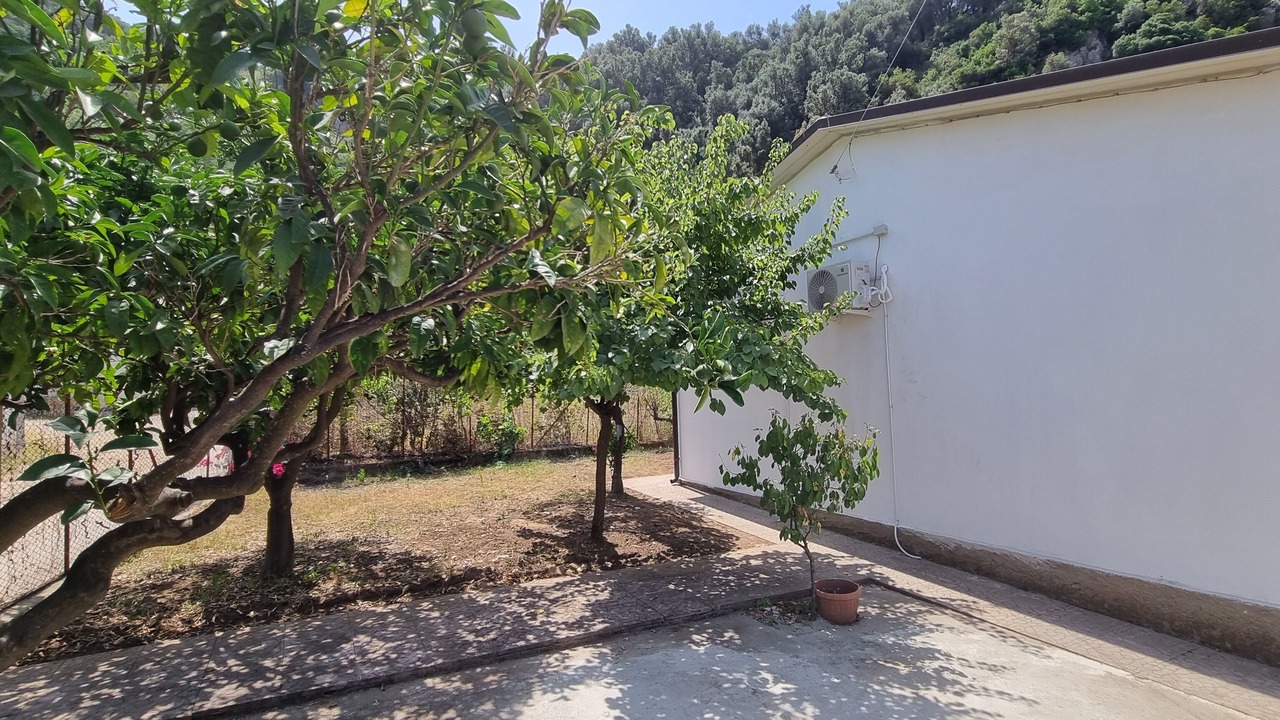 Photo of Outdoor in Taureana