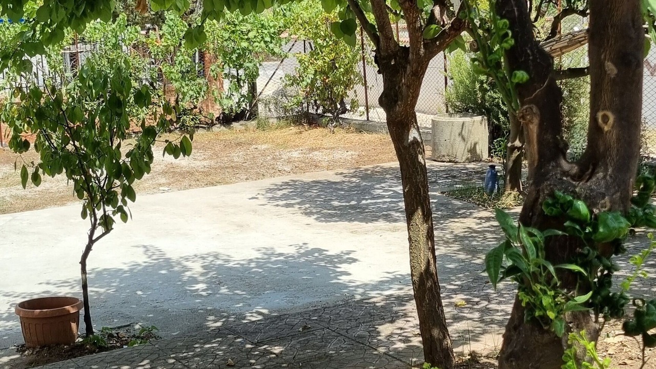 Photo of Outdoor in Taureana