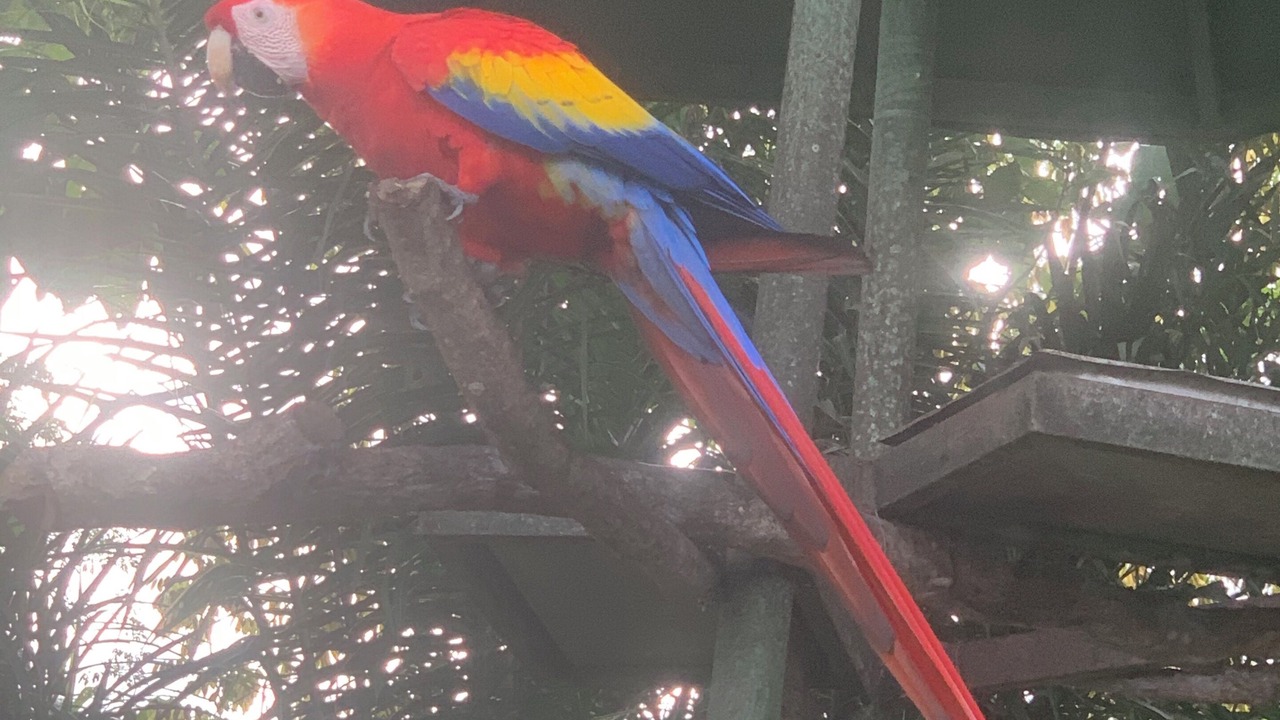 Photo of Outdoor in Puntarenas