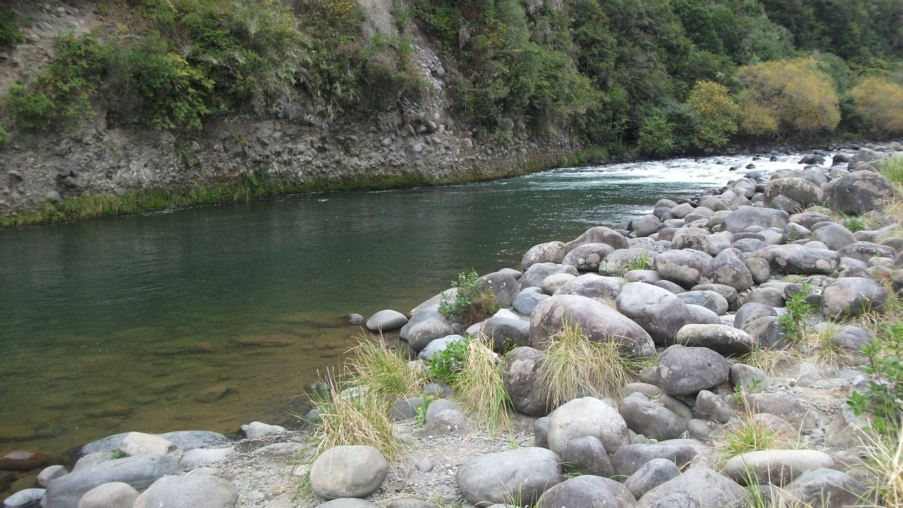 Photo of Outdoor in Owhango