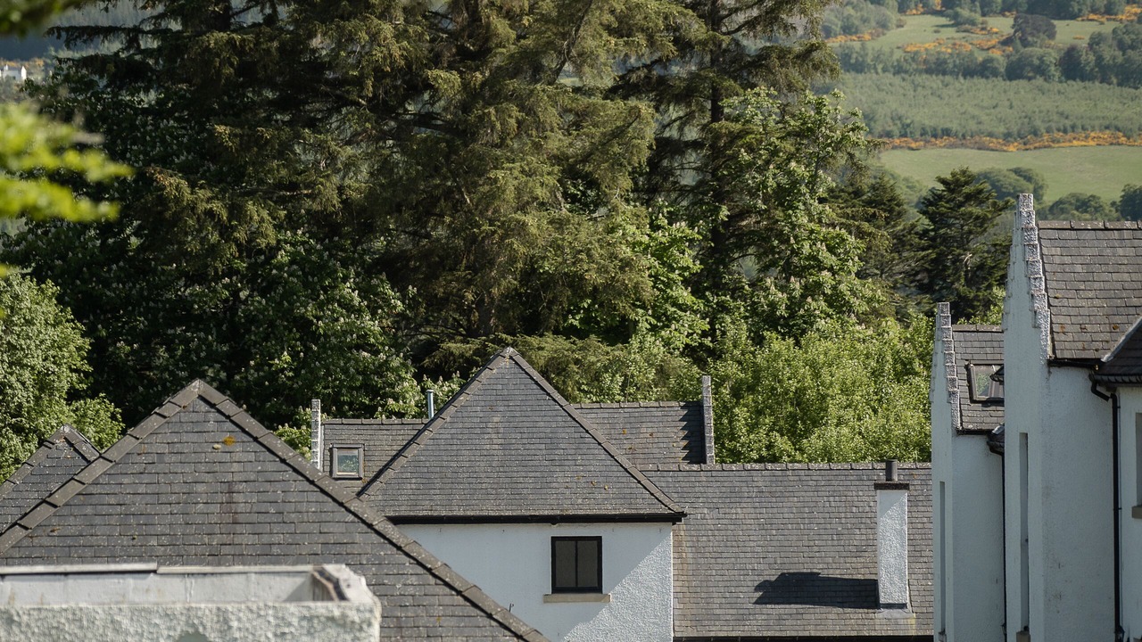 Photo of Outdoor in Kirkhill