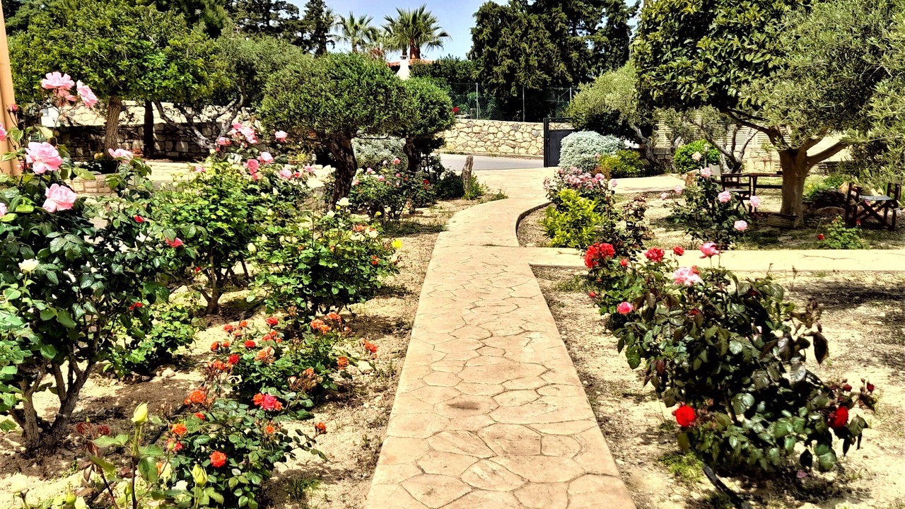 Photo of Outdoor in Vathianos Kampos