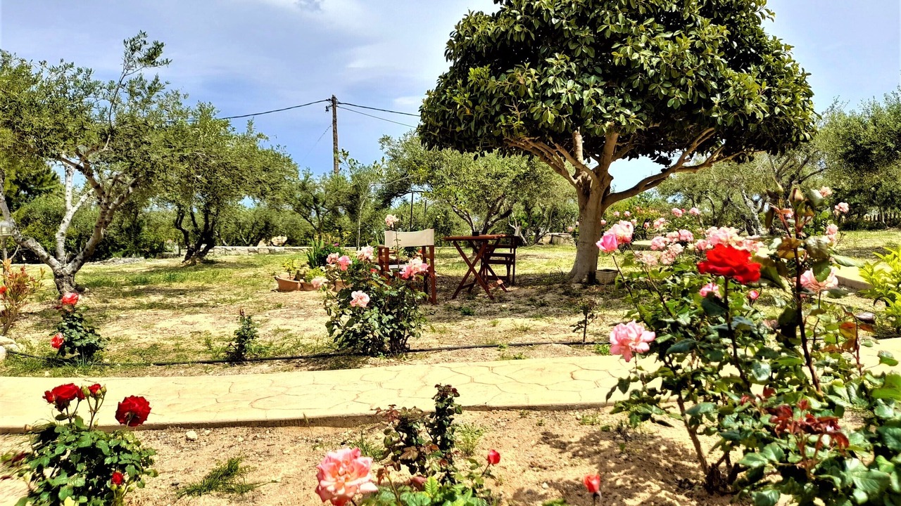 Photo of Outdoor in Vathianos Kampos