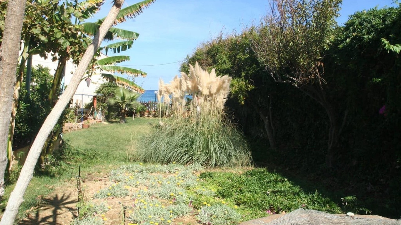 Photo of Outdoor in Bali