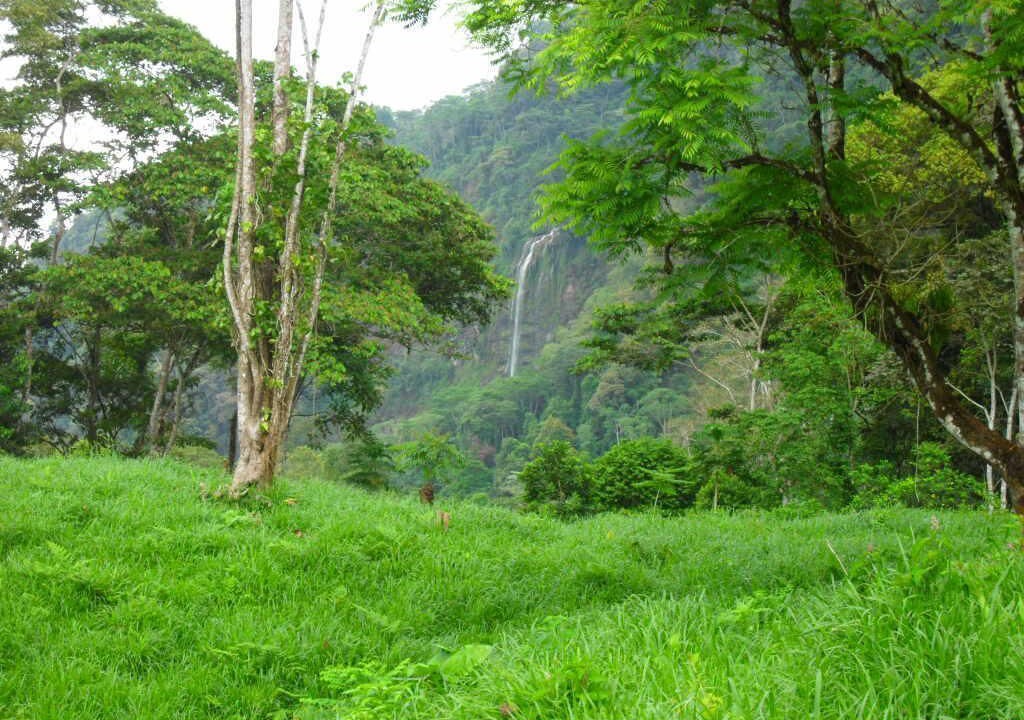 Photo of Outdoor in San Isidro de El General