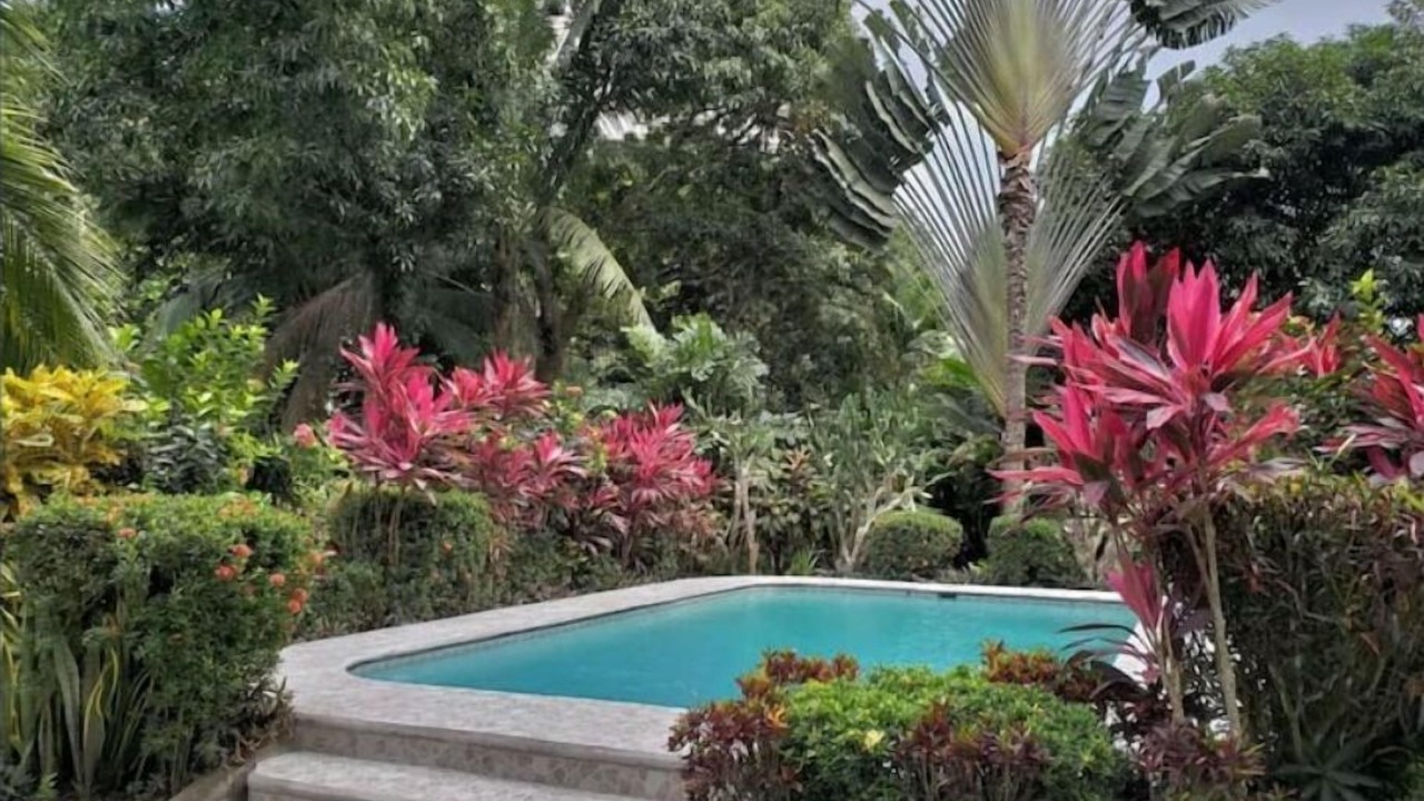 Photo of Outdoor in Tarcoles