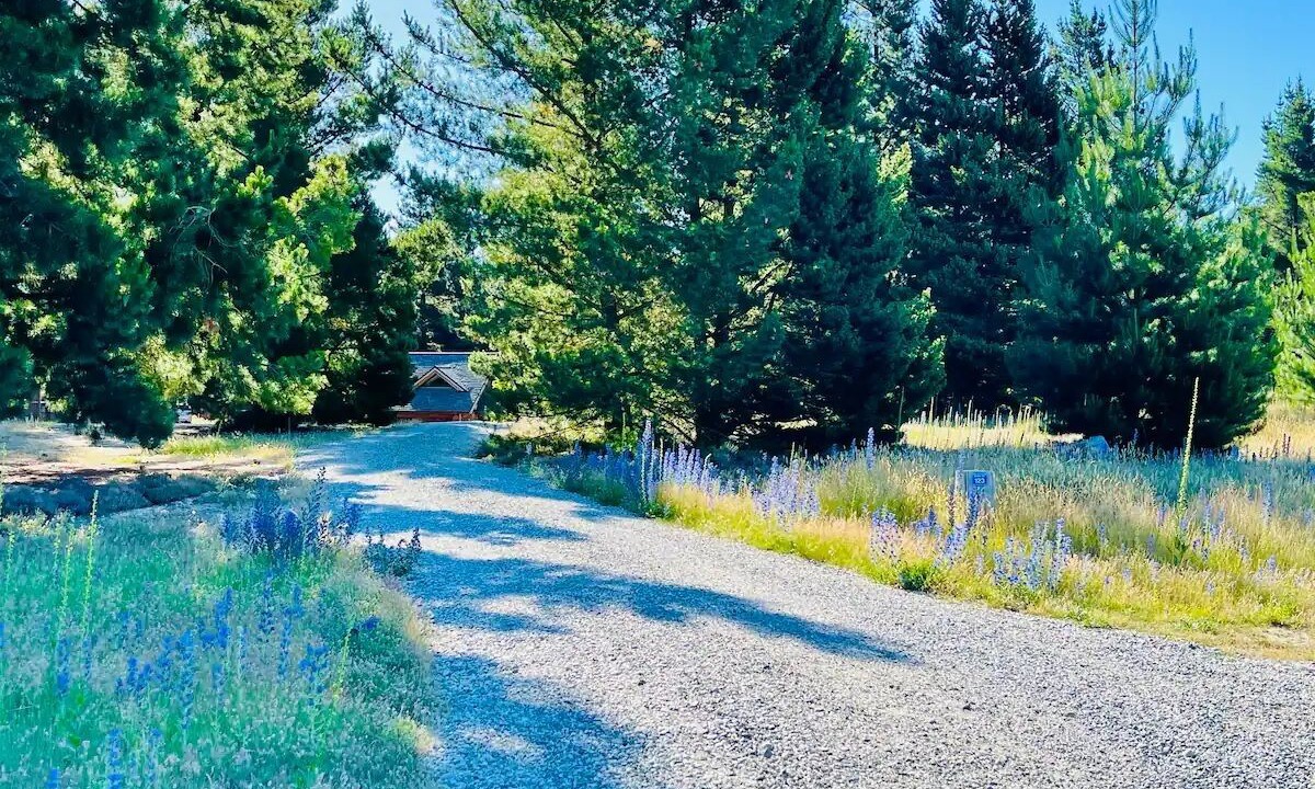 Photo of Outdoor in Alexandra