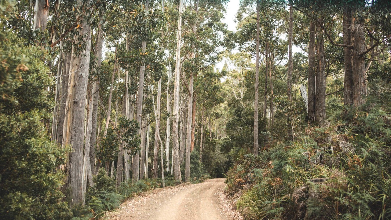 Photo of Outdoor in Ellendale