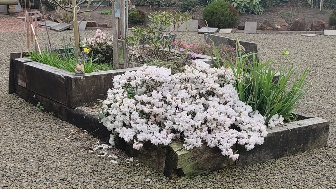 Photo of Outdoor in Mauchline