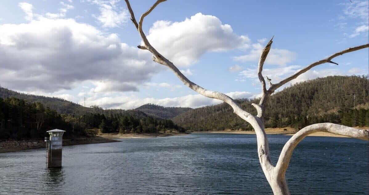 Photo of Others in Risdon Vale