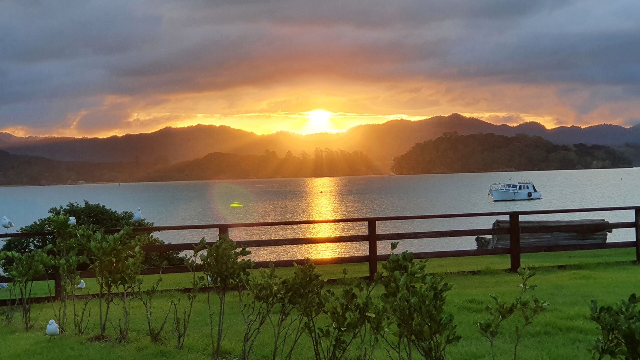 Photo of Outdoor in Whangaruru