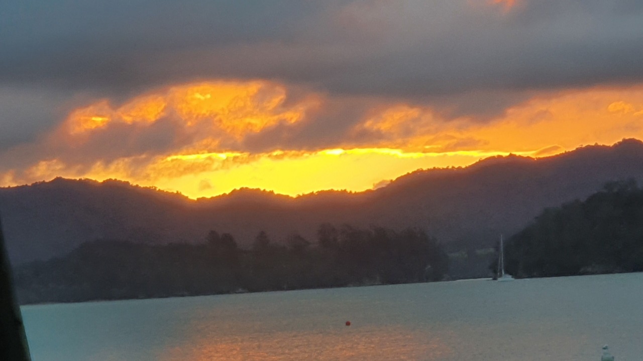 Photo of Others in Whangaruru