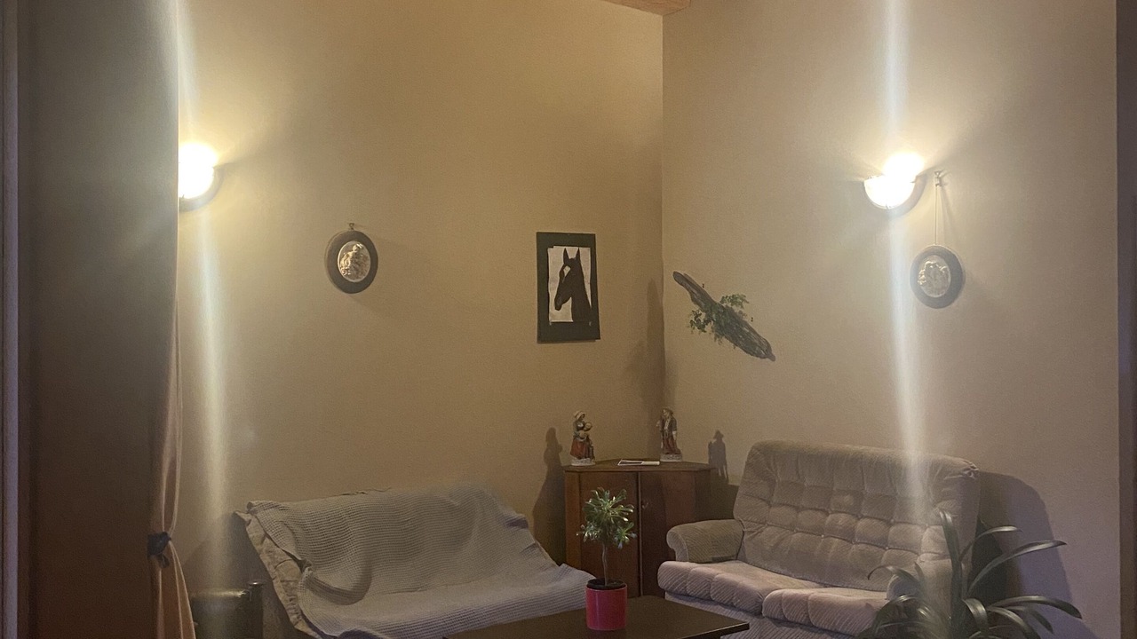 Photo of Others in Te Aro