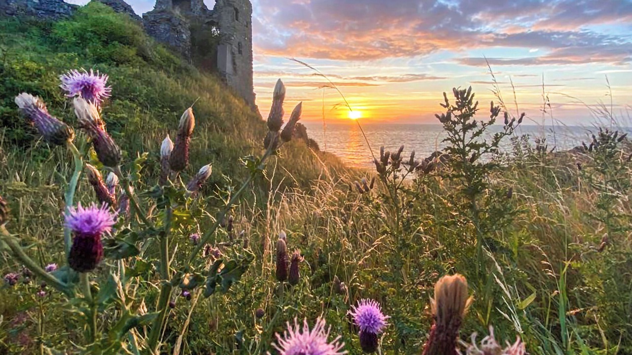 Photo of Others in Dunure