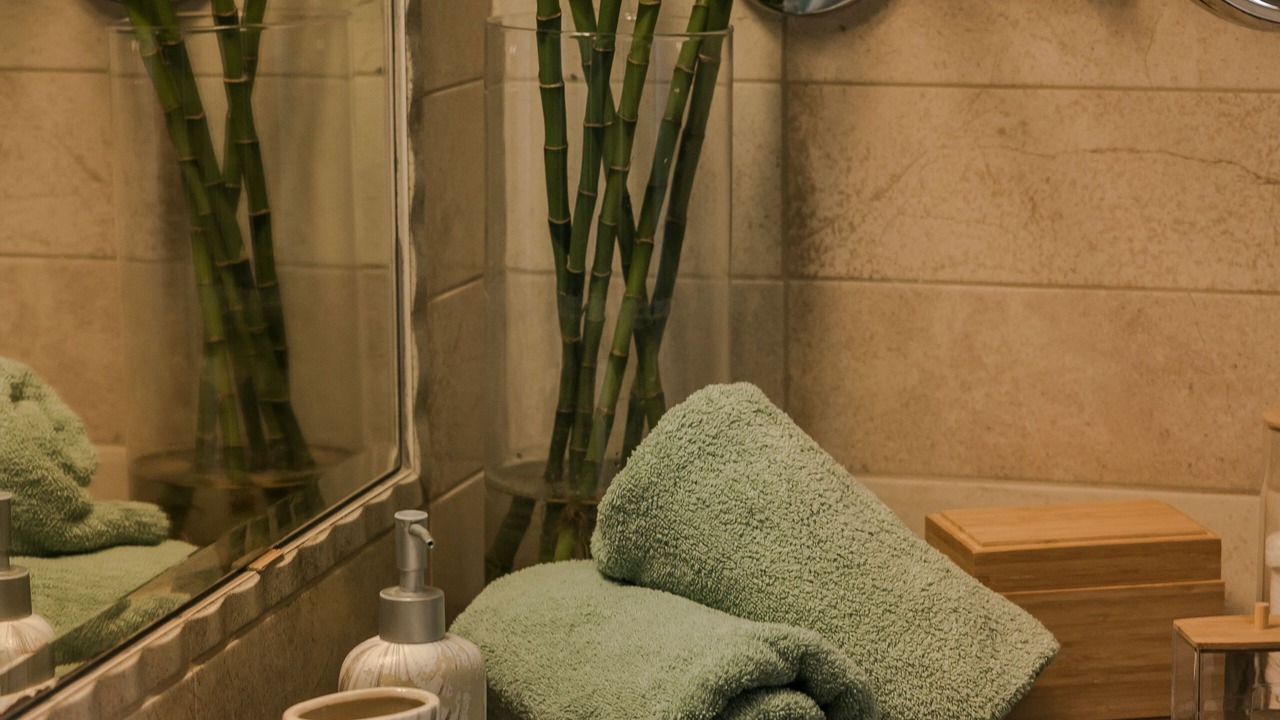 Photo of Bathroom in Sarlata