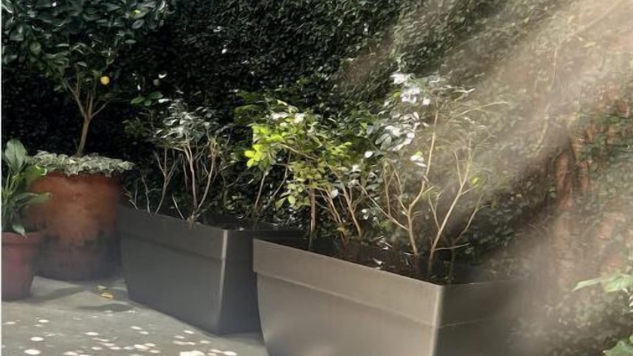 Photo of Outdoor in La California