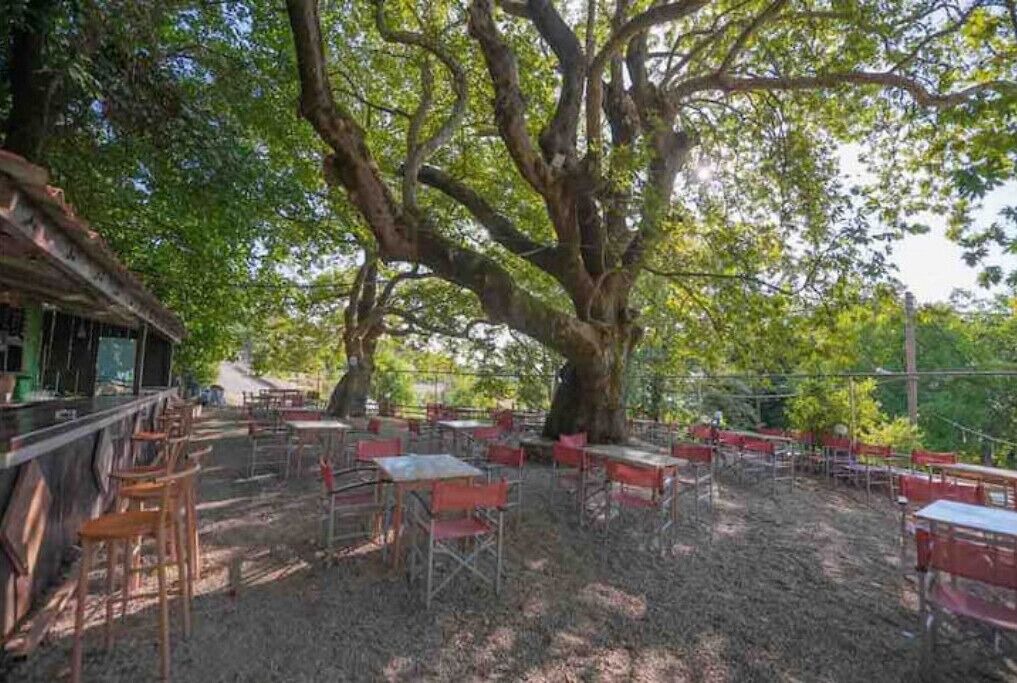 Photo of Outdoor in Erymanthos Municipality