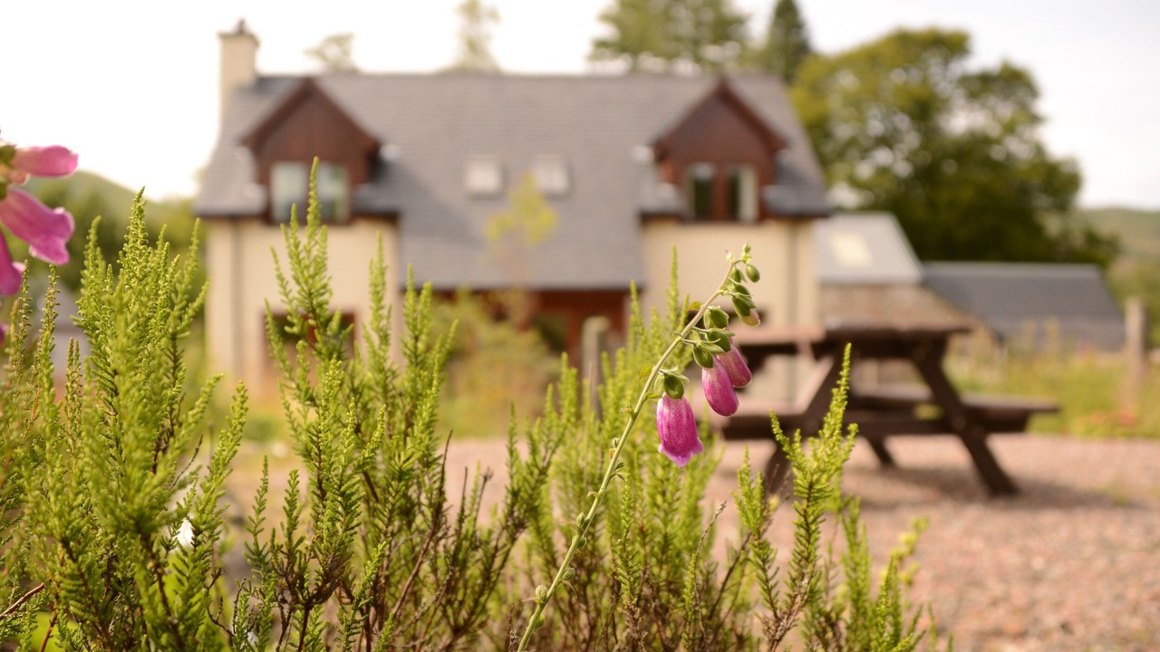 Photo of Outdoor in Torcastle