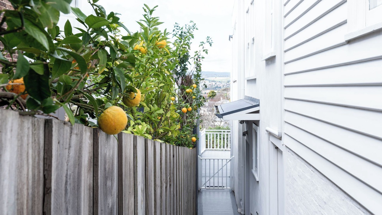 Photo of Outdoor in East Launceston