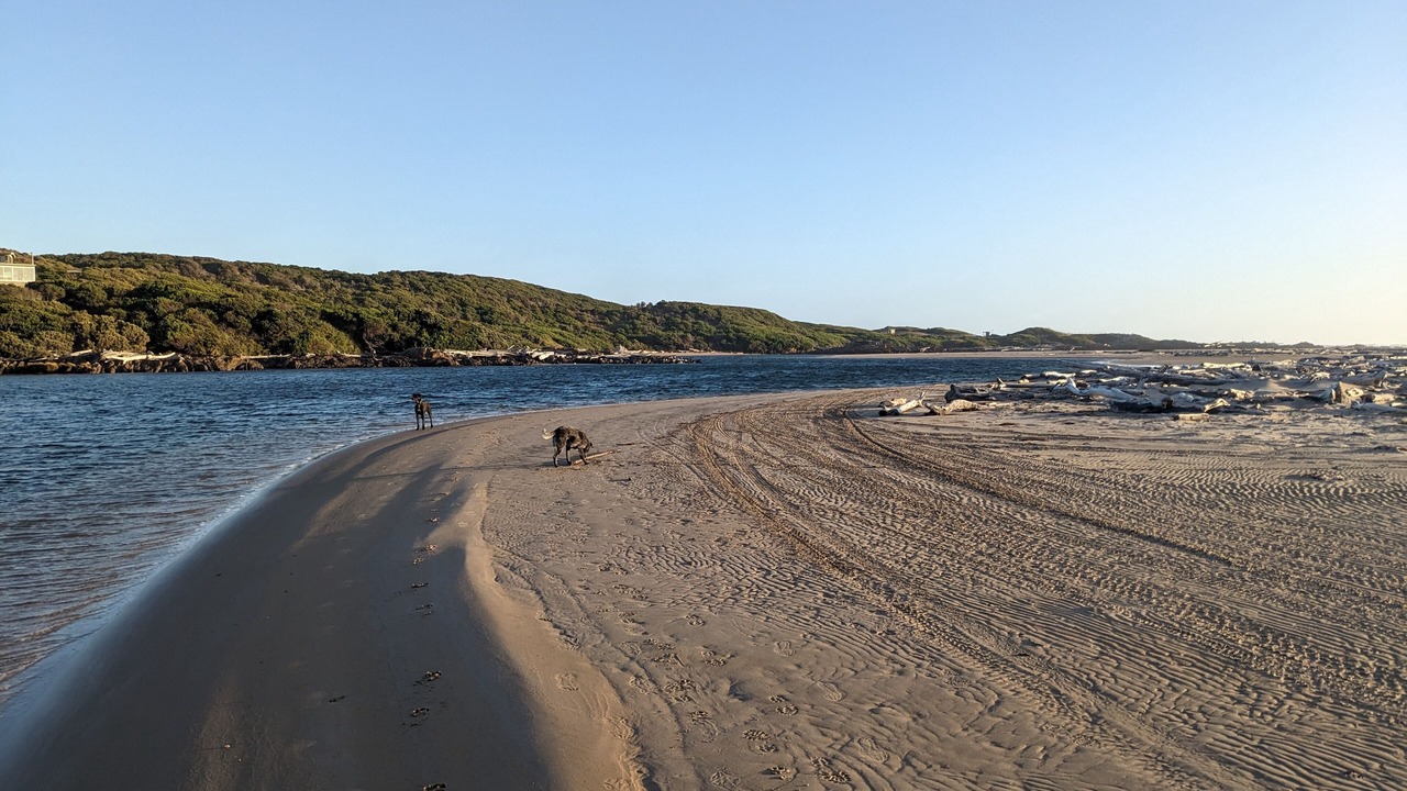 Photo of Others in Arthur River